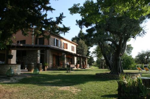 Garden, Cornio Delle Fronde in Montefelcino Garden, Cornio Delle Fronde in Montefelcino