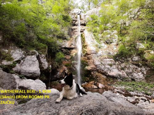 رياضة و نشاطات, Rooms pr zajčku (Rooms pr zajcku) in Tolmin رياضة و نشاطات, Rooms pr zajčku (Rooms pr zajcku) in Tolmin