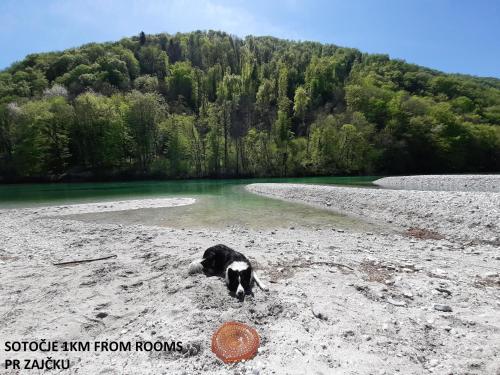 كنو, Rooms pr zajčku (Rooms pr zajcku) in Tolmin كنو, Rooms pr zajčku (Rooms pr zajcku) in Tolmin