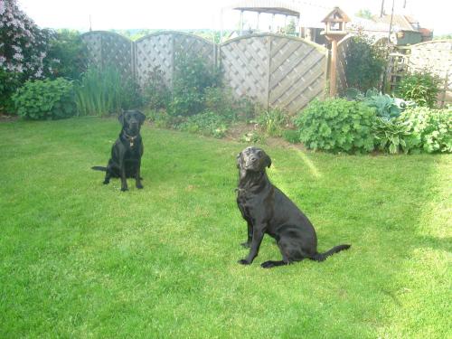 This photo about Redshill B&B shared on HyHotel.com