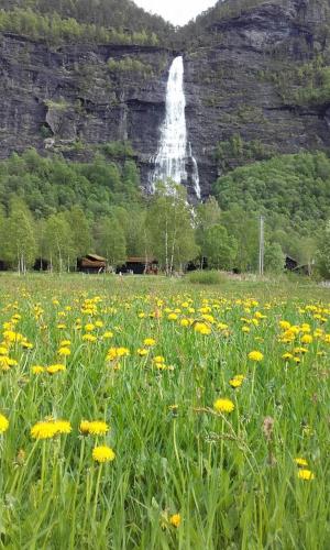 Alrededores, Vassbakken Kro og Camping in Skjolden Alrededores, Vassbakken Kro og Camping in Skjolden