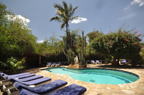 בריכת שחיה, Fig Tree Camp - Maasai Mara in Narok בריכת שחיה, Fig Tree Camp - Maasai Mara in Narok