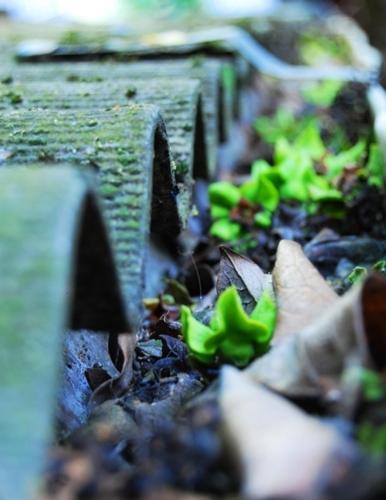 This photo about Zolotoy Lev shared on HyHotel.com