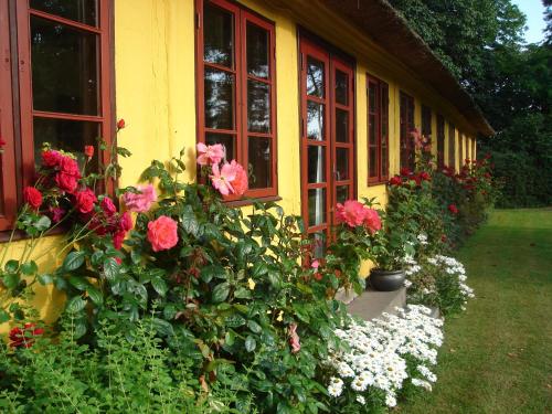 Ouregaarden B&B