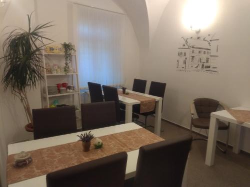 สิ่งอำนวยความสะดวก, Pension Archa in ซนอยโม สิ่งอำนวยความสะดวก, Pension Archa in ซนอยโม