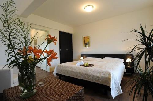 This photo about Penzion Vila Elektra shared on HyHotel.com