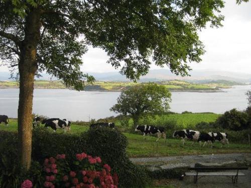 Dromcloc House in Bantry Dromcloc House in Bantry