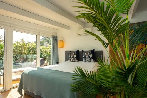 Caballito de Mar Boutique Hotel in San Jaime Caballito de Mar Boutique Hotel in San Jaime