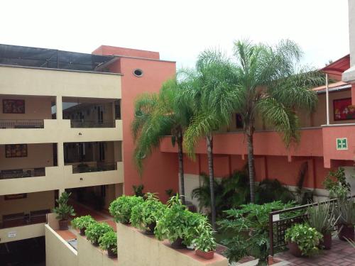 Hotel La Iguana in Chipitlan Hotel La Iguana in Chipitlan