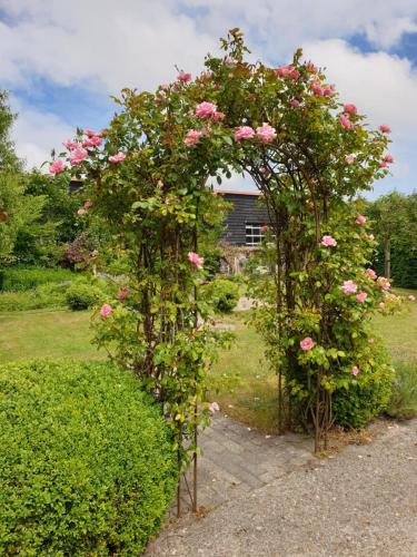 สวน, De Vrijheid-Melkstal in เดอ คอคสดอร์ฟ สวน, De Vrijheid-Melkstal in เดอ คอคสดอร์ฟ
