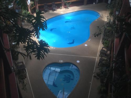 Piscina, Baymont by Wyndham Cortez in Cortez City Center Piscina, Baymont by Wyndham Cortez in Cortez City Center