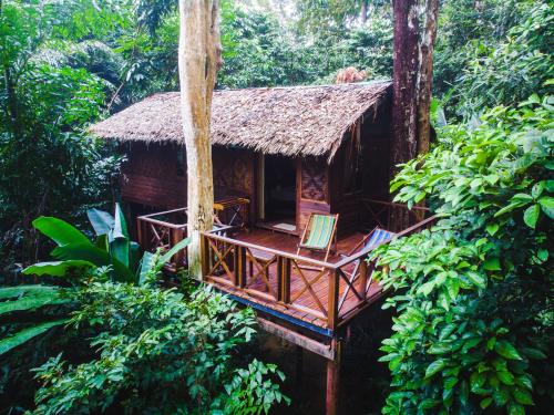 Facilities, Our Jungle House in Khao Sok (Suratthani) Facilities, Our Jungle House in Khao Sok (Suratthani)