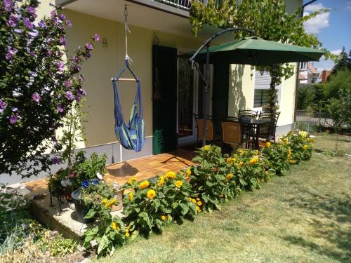 Κήπος, Kakteengarten in Λάμπερτχαϊμ Κήπος, Kakteengarten in Λάμπερτχαϊμ