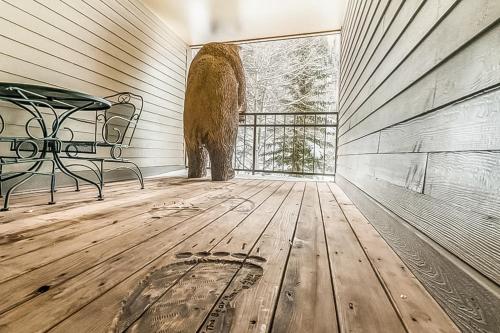 Cimarron Mountain Retreat in Telluride (CO) Cimarron Mountain Retreat in Telluride (CO)
