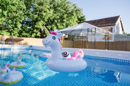 Πισίνα, D&D apartments in Σουμπότιτσα Πισίνα, D&D apartments in Σουμπότιτσα