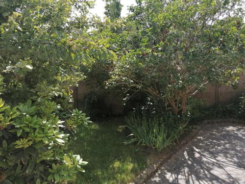 A szálláshely kívülről, Concept Appart'Hôtel Lannion - Côte de Granit Rose (Concept Appart'Hotel Lannion - Cote de Granit Rose) in Lannion A szálláshely kívülről, Concept Appart'Hôtel Lannion - Côte de Granit Rose (Concept Appart'Hotel Lannion - Cote de Granit Rose) in Lannion