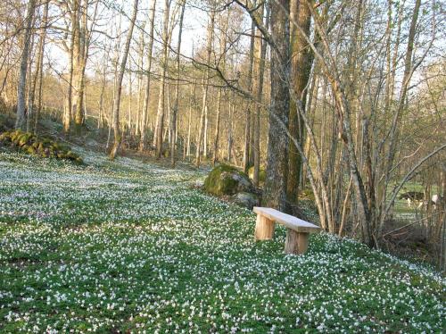 Surrounding environment, Wismens Natur & Fiske in Krogsered Surrounding environment, Wismens Natur & Fiske in Krogsered