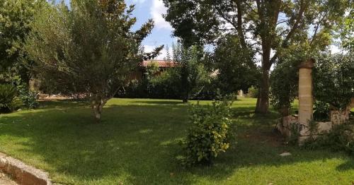 Garden, Agriturismo Fica Torta in Tricase Garden, Agriturismo Fica Torta in Tricase