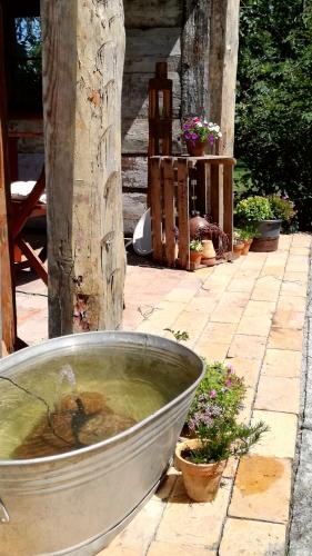 Зручності, Ferienwohnung Luba Lipa in Schwarzheide Зручності, Ferienwohnung Luba Lipa in Schwarzheide