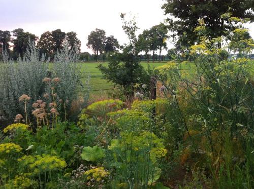 Garden, De Bolderie in Markelo Garden, De Bolderie in Markelo