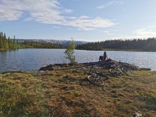Заобикаляща среда, Liaplassen Fjellhytte in Ота Заобикаляща среда, Liaplassen Fjellhytte in Ота