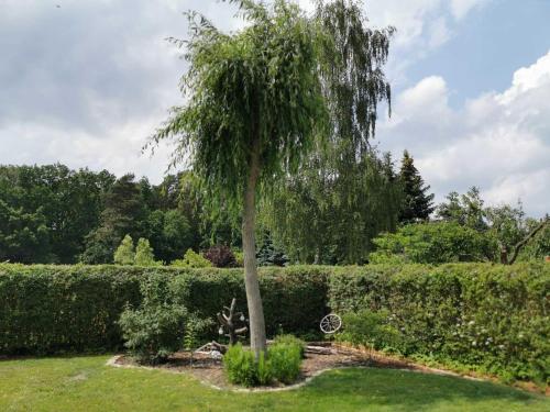 Garden, Big Mama_s Home in Neu-Trebendorf Garden, Big Mama_s Home in Neu-Trebendorf