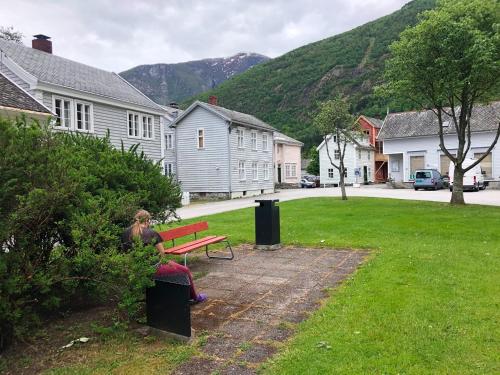 สภาพแวดล้อมโดยรอบ, Den Gule Krambua - Gamle Lærdalsøyri - main street old town in เลอดาล สภาพแวดล้อมโดยรอบ, Den Gule Krambua - Gamle Lærdalsøyri - main street old town in เลอดาล