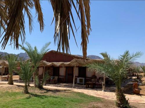 Sayadeen Village - Red Sea Riviera in Nuweiba Sayadeen Village - Red Sea Riviera in Nuweiba