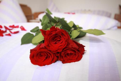 This photo about Haus Kuppelwieser shared on HyHotel.com