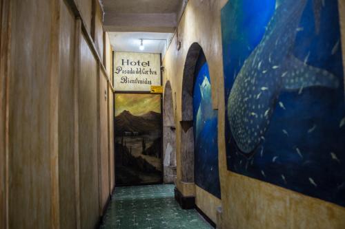 HOTEL POSADA DEL CORTEZ in 拉巴斯 HOTEL POSADA DEL CORTEZ in 拉巴斯
