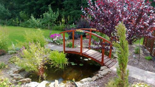 Garden, Landpension Wandersruh in Raschau-Markersbach Garden, Landpension Wandersruh in Raschau-Markersbach
