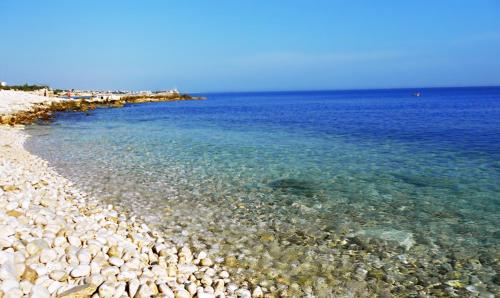 Beach, B&b Al Porto Novo in Bisceglie Beach, B&b Al Porto Novo in Bisceglie