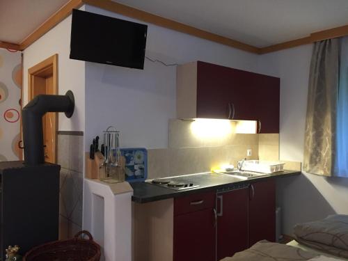 Konyha, Ferienwohnungen Bianca Hasler - Stallbauer in Pusterwald Konyha, Ferienwohnungen Bianca Hasler - Stallbauer in Pusterwald