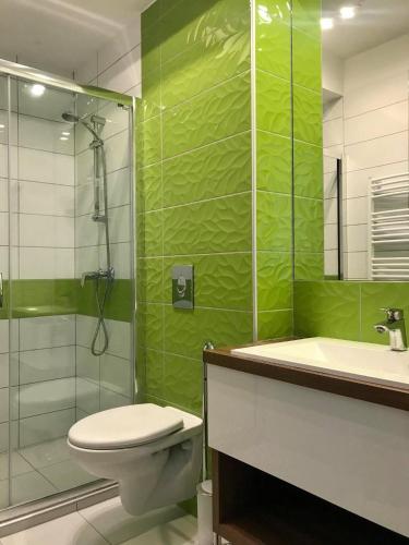 バスルーム, Rubin Eszter Apartman Sárvár (Rubin Eszter Apartman Sarvar) in ヴァドケルト バスルーム, Rubin Eszter Apartman Sárvár (Rubin Eszter Apartman Sarvar) in ヴァドケルト