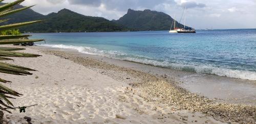 plage, TEREVAA 2 in Huahine Island plage, TEREVAA 2 in Huahine Island
