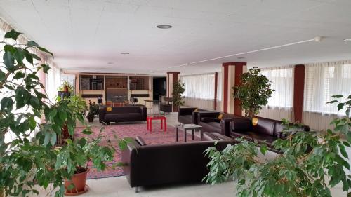 صالة مشتركة/ منطقة التلفزيون, Dom Veteranov Kino in موسكو صالة مشتركة/ منطقة التلفزيون, Dom Veteranov Kino in موسكو