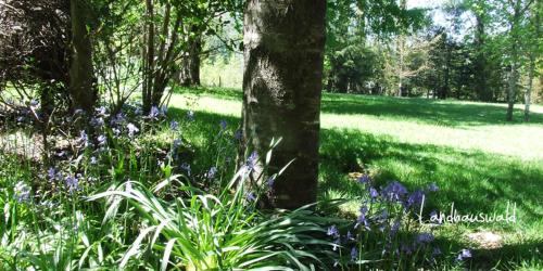 This photo about Hotel Lodge Landhaus San Sebastian shared on HyHotel.com