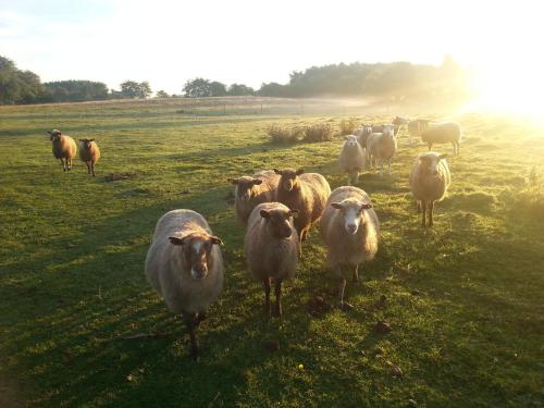 This photo about Korsbarsgarden Rum & Frukost shared on HyHotel.com