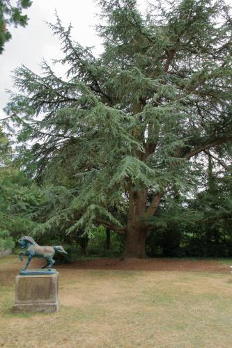 花園, Normandie 12 couchages in 萊格勒 花園, Normandie 12 couchages in 萊格勒