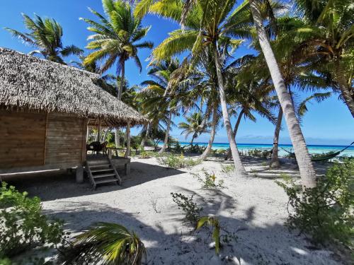 Garden, AOTERA GUEST HOUSE in Rangiroa Garden, AOTERA GUEST HOUSE in Rangiroa