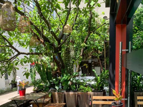 アスピラ D アンドラ スクムウィット 1616