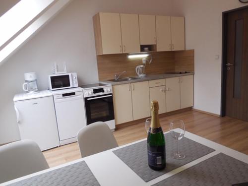 Apartman Kamenice in Kamenice Nad Lipou Apartman Kamenice in Kamenice Nad Lipou