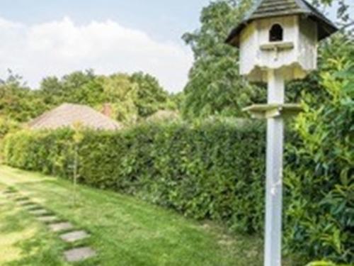 Зручності, Knole B&B in Севеноукс Зручності, Knole B&B in Севеноукс