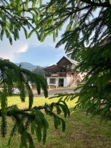 Pensiunea Turistica Tihuta in Piatra-Fantanele Pensiunea Turistica Tihuta in Piatra-Fantanele