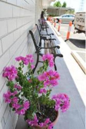 ทางเข้า, เอ แอนด์ เอ ลอดจ์ โมเต็ล เอมเมอรัลด์ (A and A Lodge Motel Emerald) in เอเมอรัลด์ ทางเข้า, เอ แอนด์ เอ ลอดจ์ โมเต็ล เอมเมอรัลด์ (A and A Lodge Motel Emerald) in เอเมอรัลด์