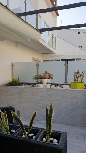 Зручності, Préstige Holidays Alojamentos (Prestige Holidays Alojamentos) in Назаре Зручності, Préstige Holidays Alojamentos (Prestige Holidays Alojamentos) in Назаре