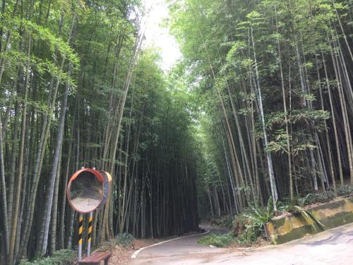 Youlin Homestay in Meishan Township Youlin Homestay in Meishan Township