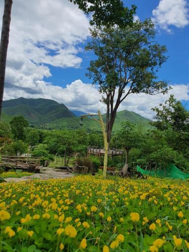 マリ パイ リゾート6