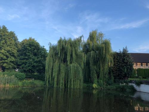 Surrounding environment, NEW beautiful place in the village near Leipzig in Elsteraue Surrounding environment, NEW beautiful place in the village near Leipzig in Elsteraue