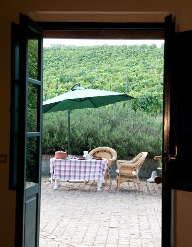 陽台/露台, Agriturismo Buon Riposo - Country Resort in the Heart of Tuscany in 蒙塔伊奧內 陽台/露台, Agriturismo Buon Riposo - Country Resort in the Heart of Tuscany in 蒙塔伊奧內